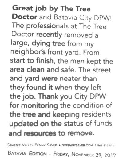 Great job by the Tree Doctor